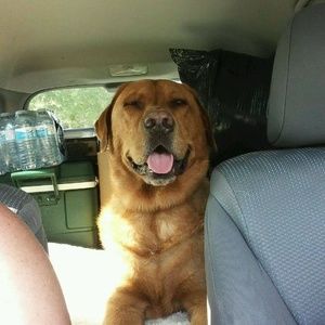 Meet your Posher, Mark